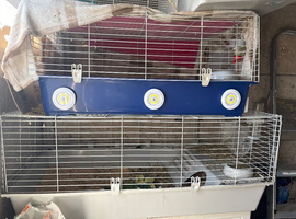 Indoor cage