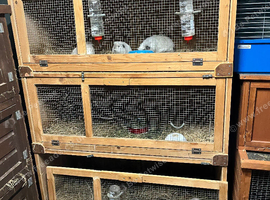 Cages for sale