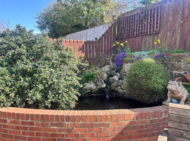 Pond complete set up With 5 koi fish