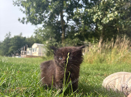 Scratch pad needed