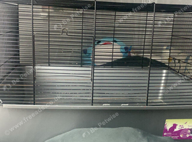 Hamster cage