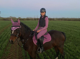 Welsh section c mare