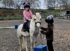 Fantastic child's pony