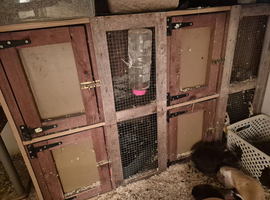 Homemade hutch for sale