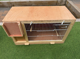 Budgie Breeder