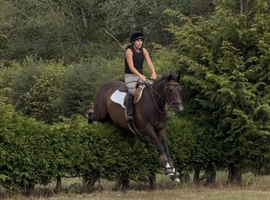 A true confidence giver teens horse