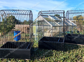 3 Yorkshire show cages job lot