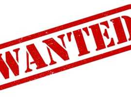 WANTED - Small Private Equestrian Yard