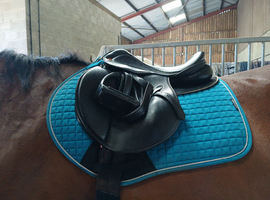 Black 17" GP Saddle company saddle