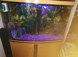 Fish tank plus everything included