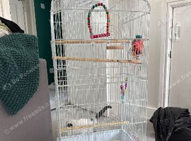 Bird cage