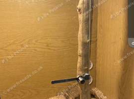 Corn snake with ful set up
