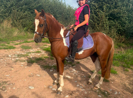 Super pony for the future