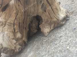 Large bit of mojo wood