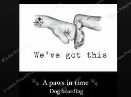 A paws in time dog and small pet boarding
