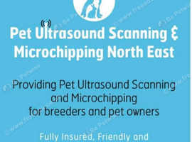 Pet Microchipping and Ultrasound scanning