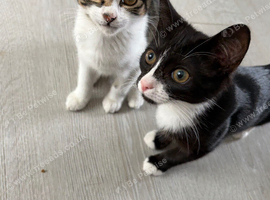 Edward and Mavis 4 months