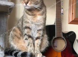 Luna looking for new home