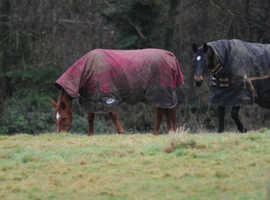 Field livery's