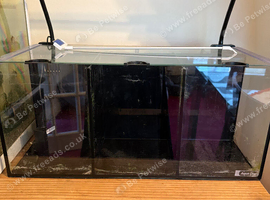 Beeta fish tank