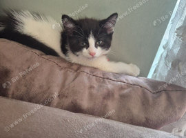 Male black and white
