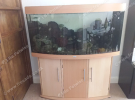 Aquarium