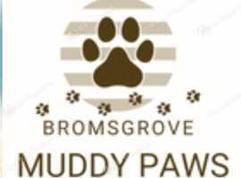 Bromsgrove muddy paws dog walking