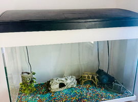 125 litre Fish tank