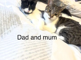 Smudge & Lola