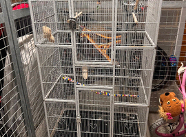 Bird cages