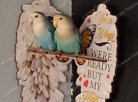 Two love birds and cage