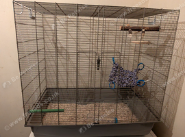 Rat cage