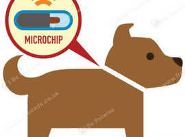 Qualified Animal Microchip Implanter. Pet / Puppy Microchipping Service in East Sussex