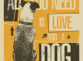 Looking for a Dog/puppy!