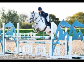 Show jumpers schoolmaster