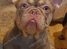 Bella nearly 5 months