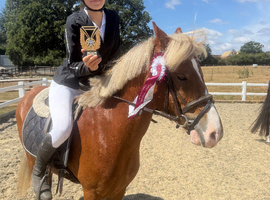 Pony club super star