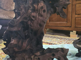 Aquarium bogwood