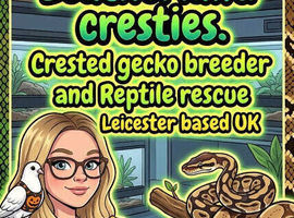 Rescue & rehome