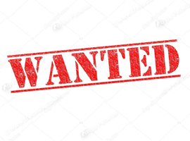 WANTED Netherland Dwarf