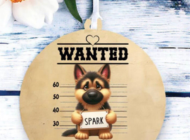 Looking for a German shepherd puppy for our little family