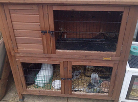 Two tier rabbit hutch and run small animal with removable trays and access
