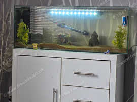 Fish tank for swaps
