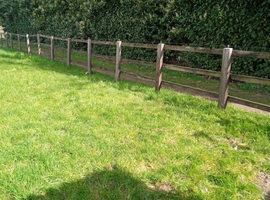 Laurel Meadow stables Sunbury on Thames