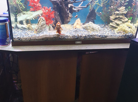 120 litre juwel tank, cabinet and fish for sale