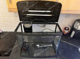 50l fish tank
