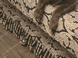 Giant maine coon kittens for sale