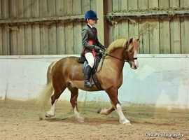 Part time groom
