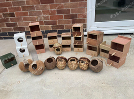 Finch Breeding Boxes Job Lot