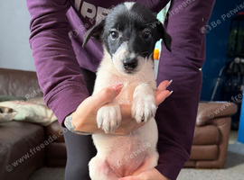 1Girl left ready now!